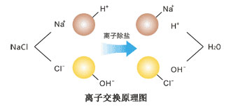 陰離子交換器